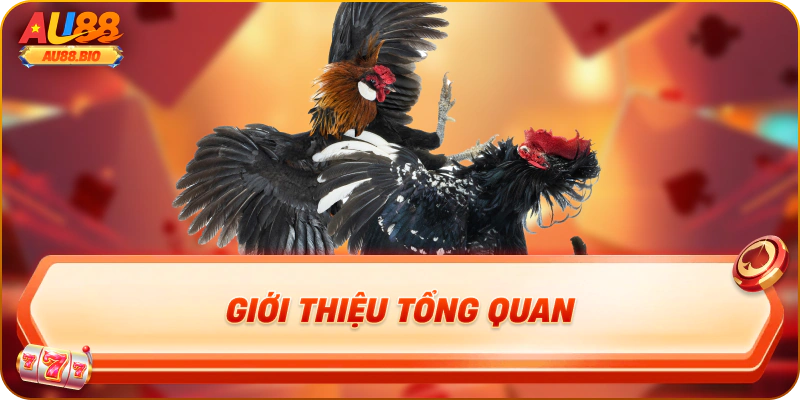 Giới thiệu tổng quan Sảnh WS168 Au88 