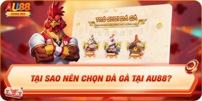 Tại sao nên chọn đá gà tại au88?